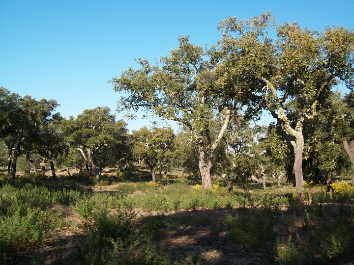 2009_portugal 195